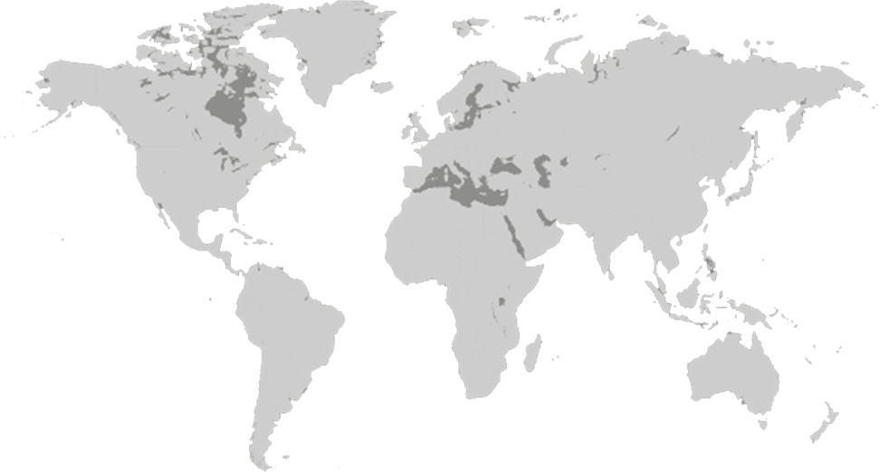 World Map